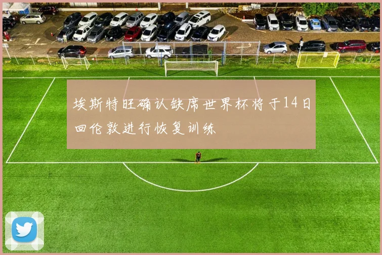 埃斯特旺确认缺席世界杯将于14日回伦敦进行恢复训练
